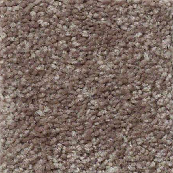 Shaw Floors Well Played I 15 Briar Patch SHAW