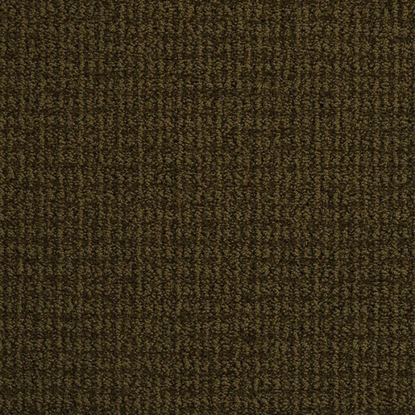 Masland Carpets Sisaltex Kelp Masland