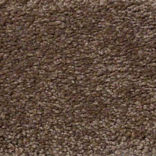 Shaw Floors Ultimate Expression 15' Pine Cone SHAW