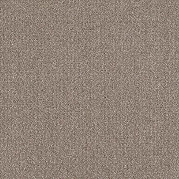 Shaw Floors Translate Simply Tan SHAW