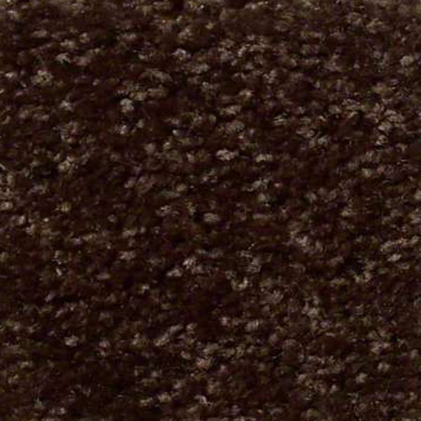 Shaw Floors Fielders Choice 12 Walnut SHAW