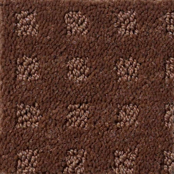 Shaw Floors Nottingham Mocha Chip SHAW