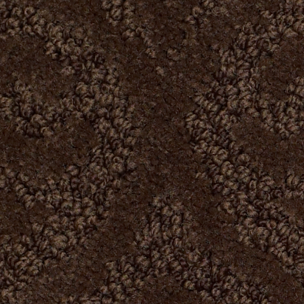 Tuftex Modern Amenities Bison SHAW