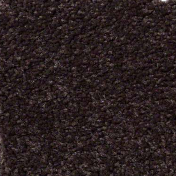 Shaw Floors Ultimate Expression 15' Tundra SHAW