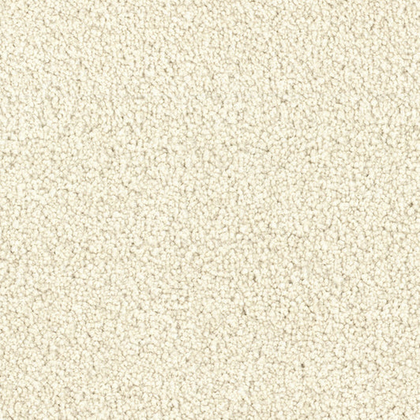 Dixie Home Spring Break Sand