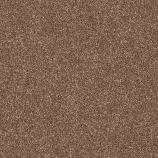 Shaw Floors Easy Spirit II 12 Bungalow SHAW