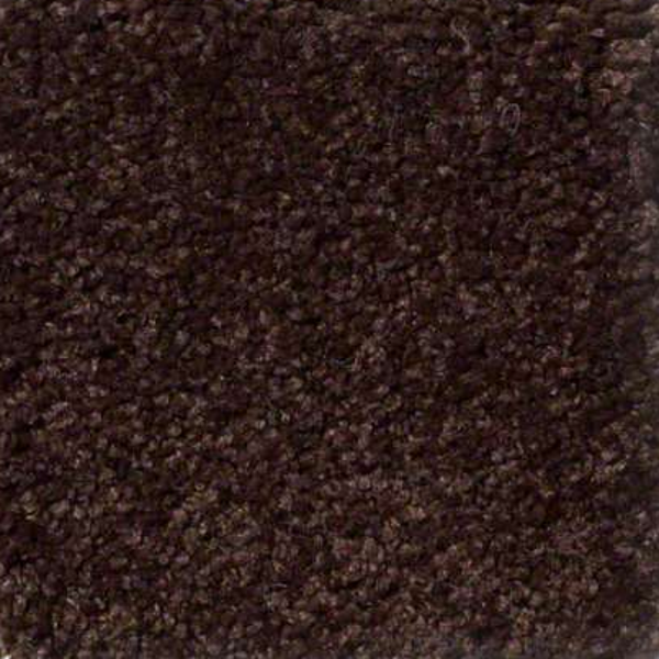 Shaw Floors Ultimate Expression 15' Coffe Bean SHAW