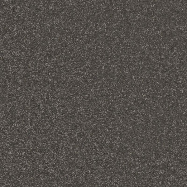 Shaw Floors Awaken Spirit II 12' Rocky Slope SHAW