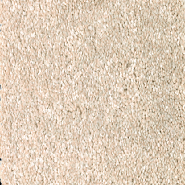 Mohawk Carpet True Unity Canvasback Mohawk