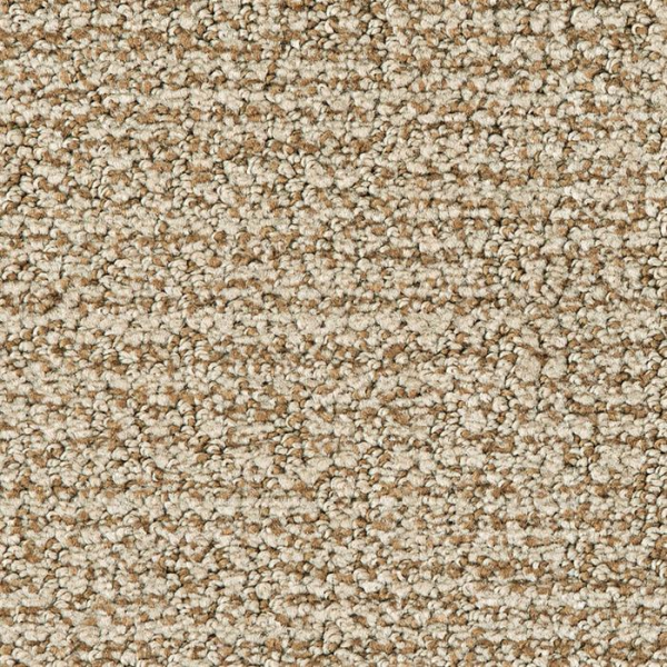 Masland Carpets Nueva Vista Nuez Masland