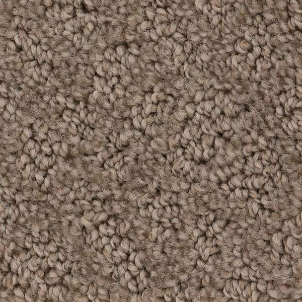 Shaw Floors Chic Shades Raw Wood SHAW