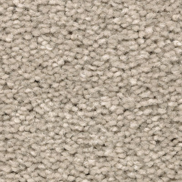 Mohawk Carpet Treasure Valley Traditional Tan Mohawk