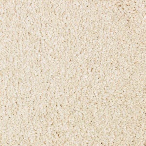 Mohawk Carpet Elegant Appeal I 12' Fleece Mohawk