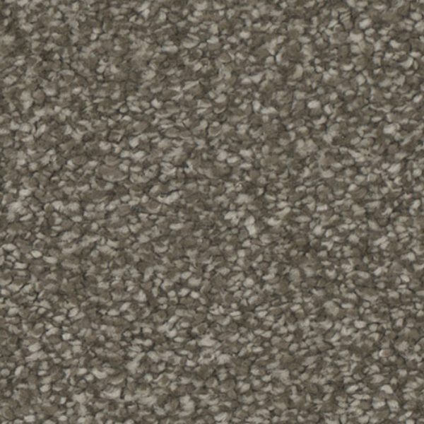 Tarkett Home Carpets Enamour Inviting LEXMARK