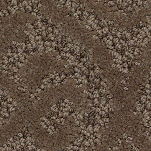 Tuftex Modern Amenities Mesquite SHAW