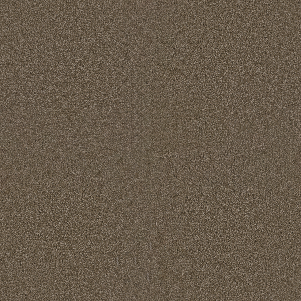 Dreamweaver Carpet Exceptional II Dove DREAMWEAVER