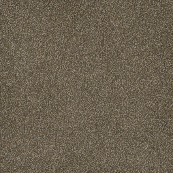 Dreamweaver Carpet Hammond Creek II Dove DREAMWEAVER