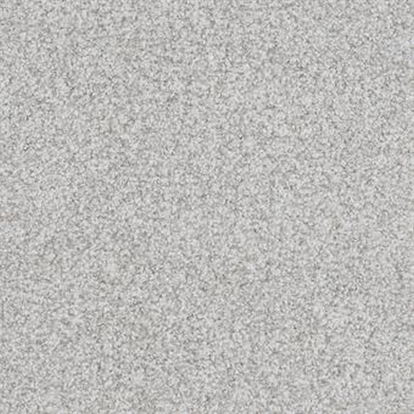 Masland Carpets Boca Raton Endless Masland