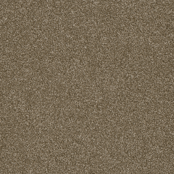 Dreamweaver Carpet Luxor II Quail DREAMWEAVER