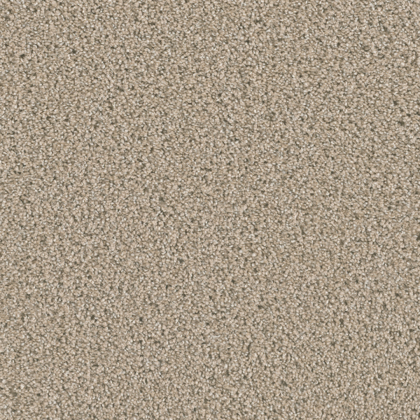 Dreamweaver Carpet Dazzling Ginger DREAMWEAVER