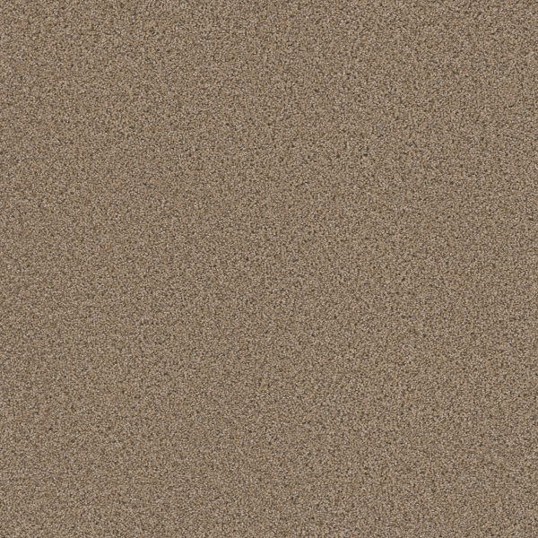 Dreamweaver Carpet Metropolitan II Ginger DREAMWEAVER