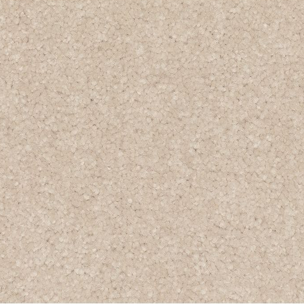 Mohawk Carpet Quality Feeling Buffed Mohawk