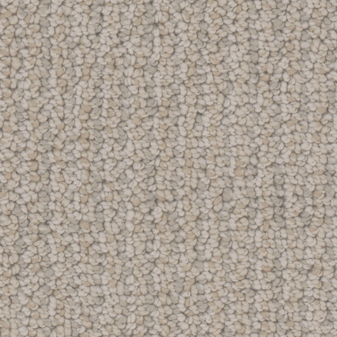 Tarkett Home Carpets Palisades Coastline LEXMARK