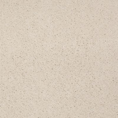 Aladdin Carpet Accelerator Plus Sesame Seed Mohawk