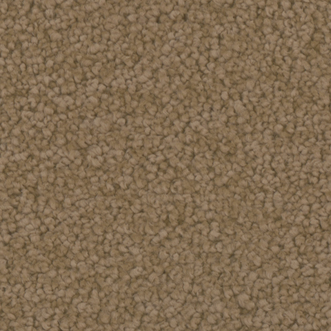 Tarkett Home Carpets Providence Treasure LEXMARK