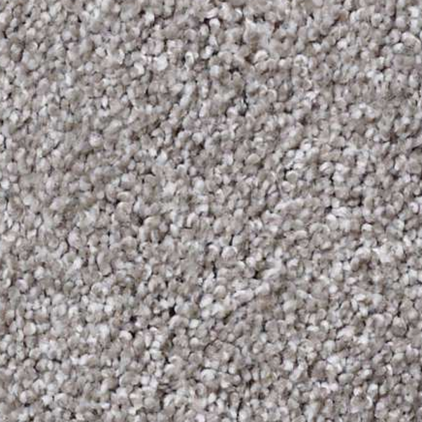 Shaw Floors Always Ready II Arrowhead SHAW