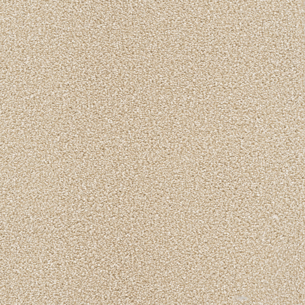 Dreamweaver Carpet Star Struck Blush DREAMWEAVER
