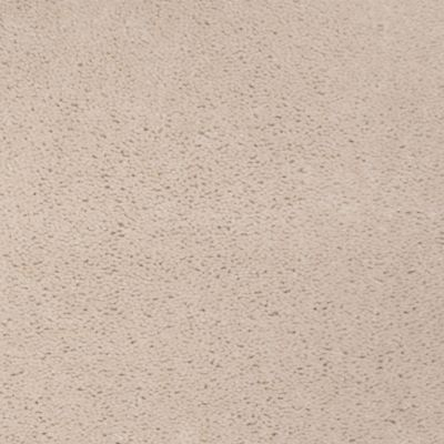 Aladdin Carpet Accelerator Plus Manor Stone Mohawk
