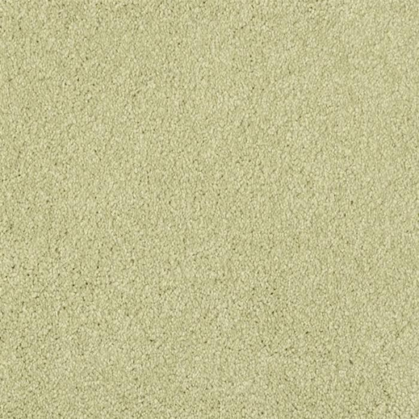Masland Carpets Miami Springhill Masland