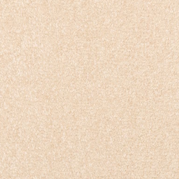 Mohawk Carpet Homemade II Champagne Bubble Mohawk
