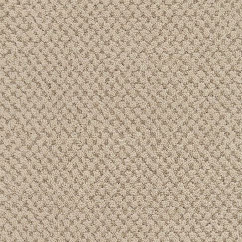 Masland Carpets La Parade Truffle Masland