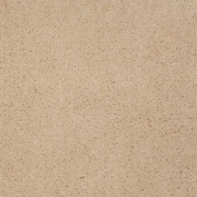 Aladdin Carpet Accelerator Plus Thistle Mohawk