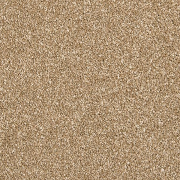 Mohawk Carpet Dynamic Quality II Midsummer Mohawk