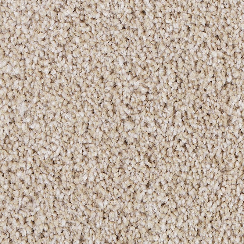 Horizon Carpet Delicate Tones II Harmonious Mohawk