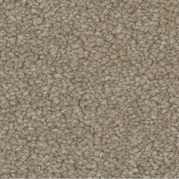 Tarkett Home Carpets Allure Appeal LEXMARK
