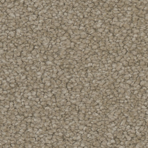 Tarkett Home Carpets Hypnotize Appeal LEXMARK