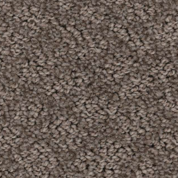 Shaw Floors Chic Shades Ridgeview SHAW