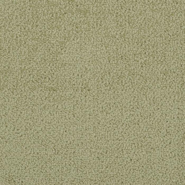 Masland Carpets Novellino Jungle Masland