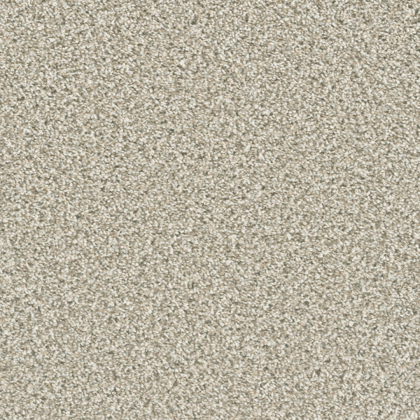 Dreamweaver Carpet Dazzling Seashells DREAMWEAVER
