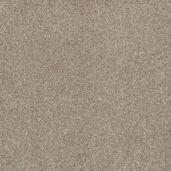 Dreamweaver Carpet Stunning Seashells DREAMWEAVER