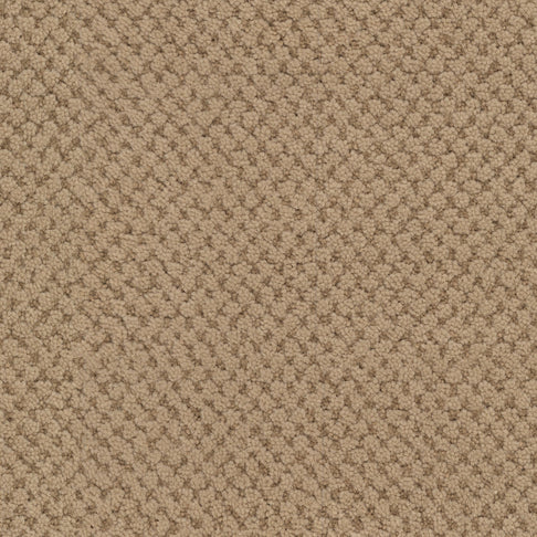 Masland Carpets La Parade Rustic Brass Masland