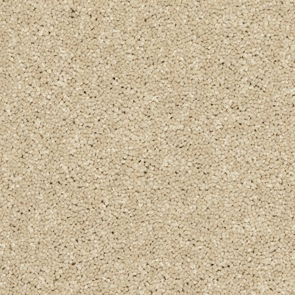 Horizon Carpet Modern Story I Seashells Mohawk