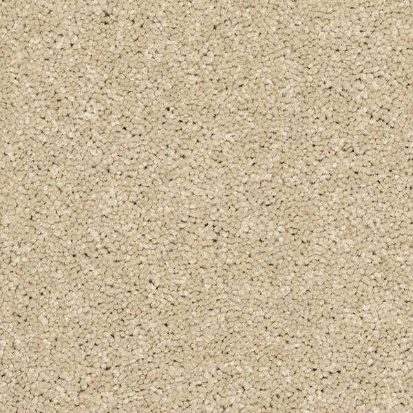 Horizon Carpet Modern Story II Seashells Mohawk