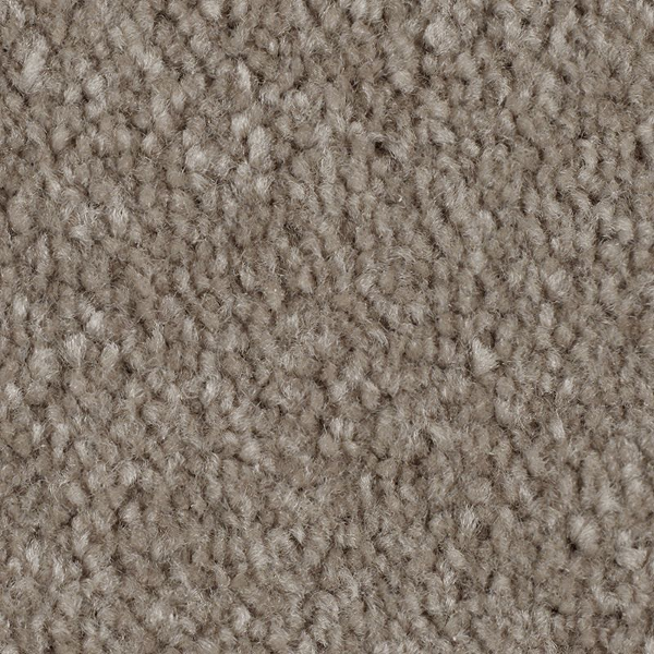 Mohawk Carpet Classical Design III 12' Wool Socks Mohawk