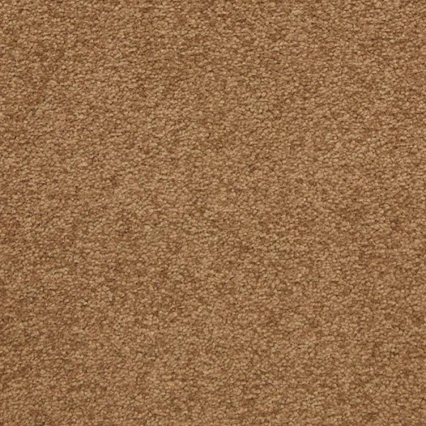 Masland Carpets Patriot Auger Masland
