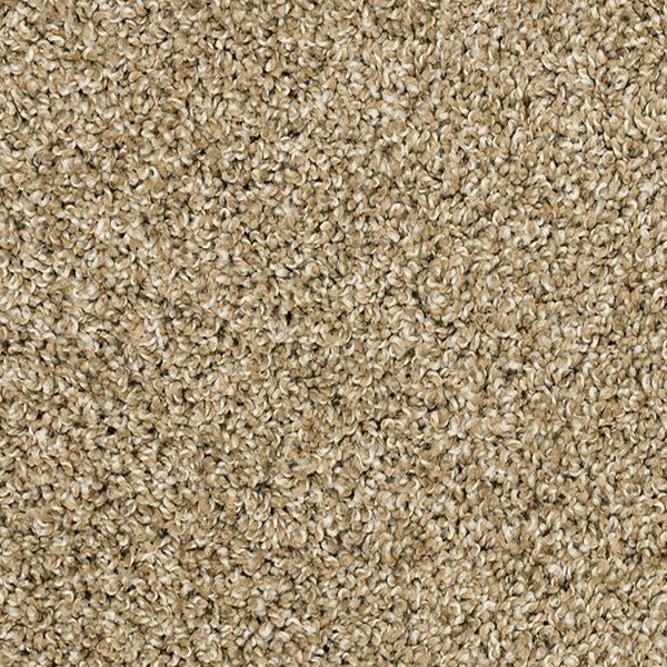 Mohawk Carpet Purrsonality I Harmony Mohawk